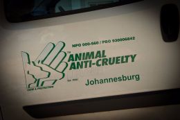 JHB Animal Anti-Cruelty League - Noble Wealth Management