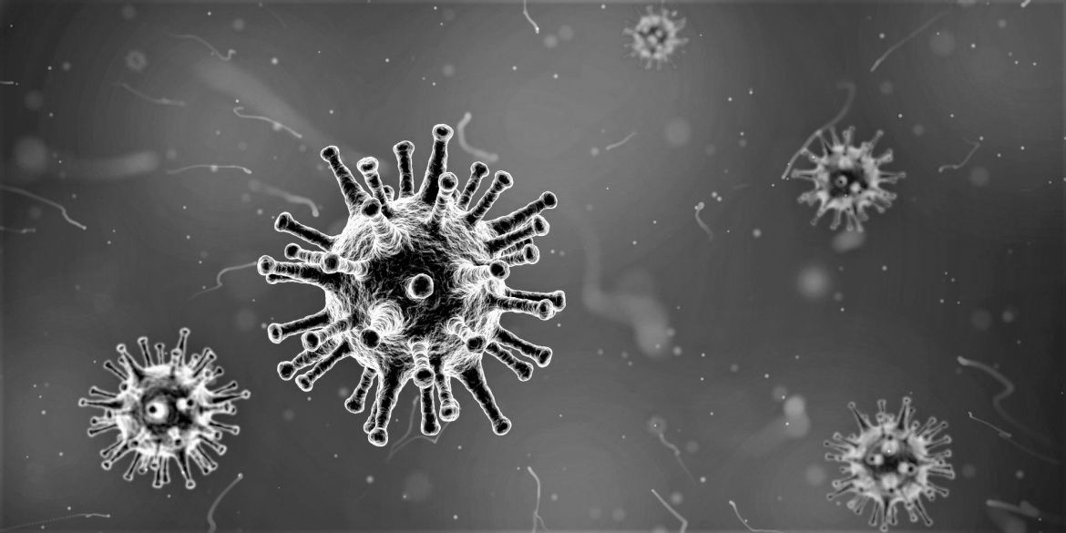 Coronavirus - so why the fuss? - Noble Wealth Management